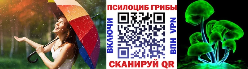 ссылка на мегу tor  Новоузенск  Псилоцибиновые грибы мицелий 