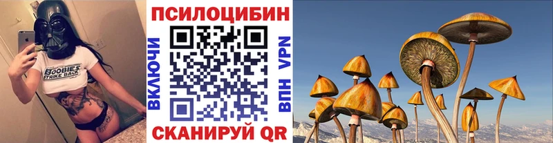 Галлюциногенные грибы ЛСД Новоузенск