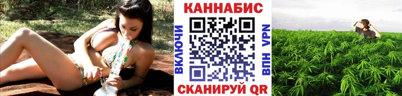 Бошки марихуана планчик  как найти закладки  даркнет состав  Новоузенск 